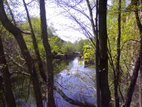Elva på nedsiden av brua. Foto: Ida Tolgensbakk (2009).