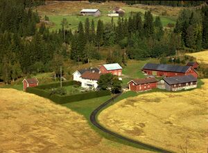 Nederberg W.002176 Anno Glomdalsmuseet.jpg