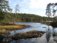 Nedre Fisketjenn, fotografert fra sørenenden, ved utløpet av Blygruvebekken