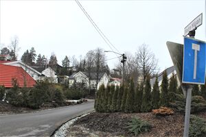 Nedre Måsan Asker 2016.jpg