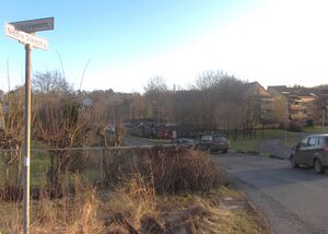 Nedre Silkestrå Oslo 2013.jpg