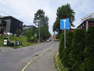 Nedslagsveien Oslo 2015.jpg