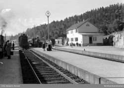 Nelaug stasjon oversikt.Herman Neupert/NJM