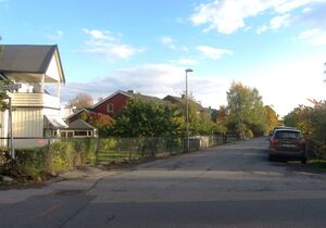 Nellikveien Oslo 2014.jpg