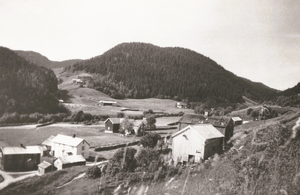 Nervika i Mosvik.png