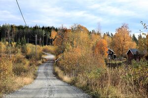 Nes Øvre Trangsrudveg 251011.jpg