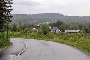 Nes Bjertnesgrenda 240616.jpg