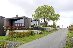 Nes Daskerudvegen 250921.jpg