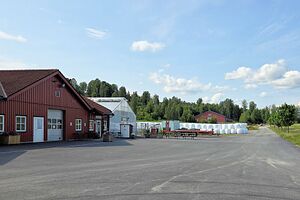 Nes Fjøsvegen 260704.jpg