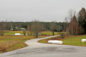 Nes Flabruvegen 251109.jpg