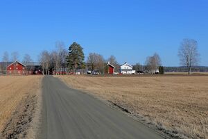 Nes Fossumvegen-2 250323.jpg