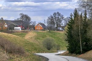 Nes Fuglefjellvegen-01 240427.jpg