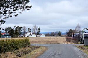 Nes Furustubben 260315.jpg