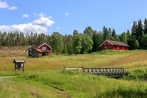 Nes Gammelsetervegen 250629.jpg