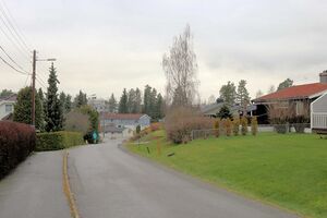 Nes Grønbakken 251107.jpg