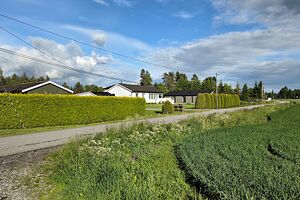 Nes Grindervegen 260613.jpg