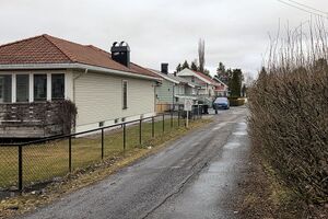 Nes Harestigen 260315.jpg