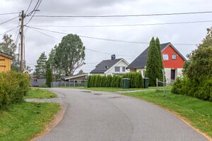 Nes Hesteskoen 230813.jpg