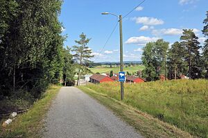 Nes Husumbakken 260704.jpg