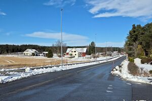Nes Hvamsmovegen 260404.jpg
