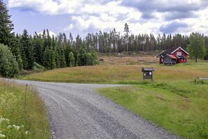 Nes Kjennsmofallvegen 250629.jpg