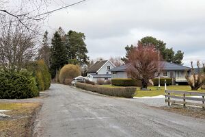 Nes Kjuusvegen 260315.jpg