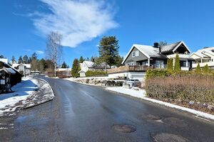 Nes Knarten 260404.jpg