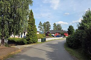 Nes Liavegen 260704.jpg