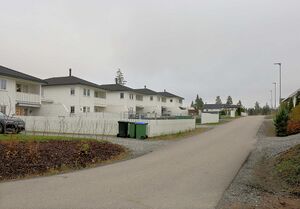 Nes Liljesvingen 251109.jpg