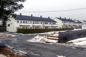 Nes Nordlitunet 250119.jpg