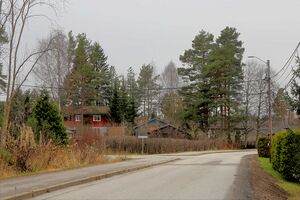 Nes Røsslyngvegen 251109.jpg