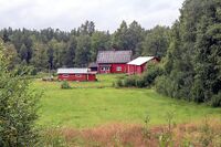 Fra Bjørknes lengst sørøst i Nes kommune. Eiendommen tilhører AS Stangeskovene. Foto: Leif-Harald Ruud (2024).