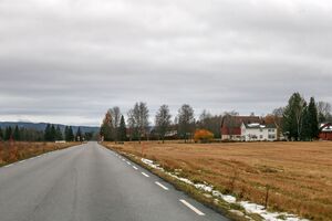 Nes Skogbygdavegen 231105.jpg