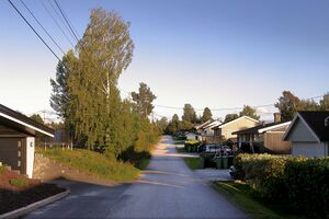 Nes Skogrovegen 240825.jpg