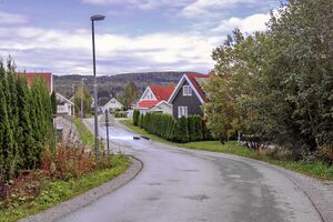 Nes Sliperisvingen 250921.jpg