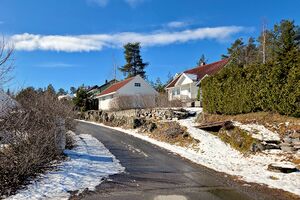 Nes Steinbrøttet 260404.jpg