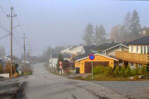 Nes Tandbergvegen 221030.jpg