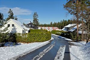Nes Tomteråsen 260404.jpg