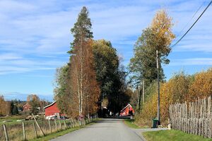 Nes Torstuvegen 251011.jpg