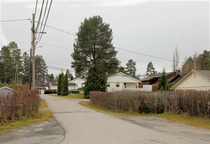 Nes Tranebærvegen 251109.jpg