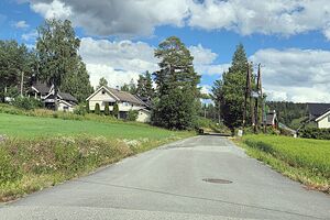 Nes Vennevålvegen 260705.jpg