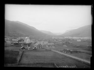 Ness Hallingdal - no-nb digifoto 20140520 00057 NB NS NM 00590.jpg