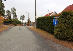 Nils Bergs vei Bærum 2016.jpg