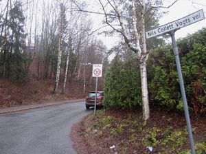 Nils Collett Vogts vei Oslo 2014.jpg