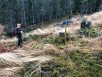 Nils Skarra fra Eiker Historielag på plassen i november 2022.