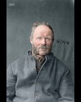 Forbryterportrett av Oluf Nilsen Kjesbovold - 1895. Fra Akershus straffeanstalt hvor han da var dømt til 1 år straffearbeid for bedragerier Foto: Digitalarkivet (original)
