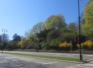 Nisseberget Oslo 2012.jpg