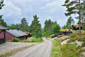 Nissedal, Bjønntjønnlia-1.jpg