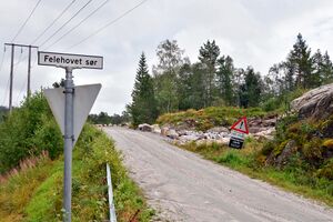 Nissedal, Felehovet sør-1.jpg