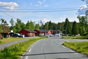 Nissedal, Fellevegen-1.jpg